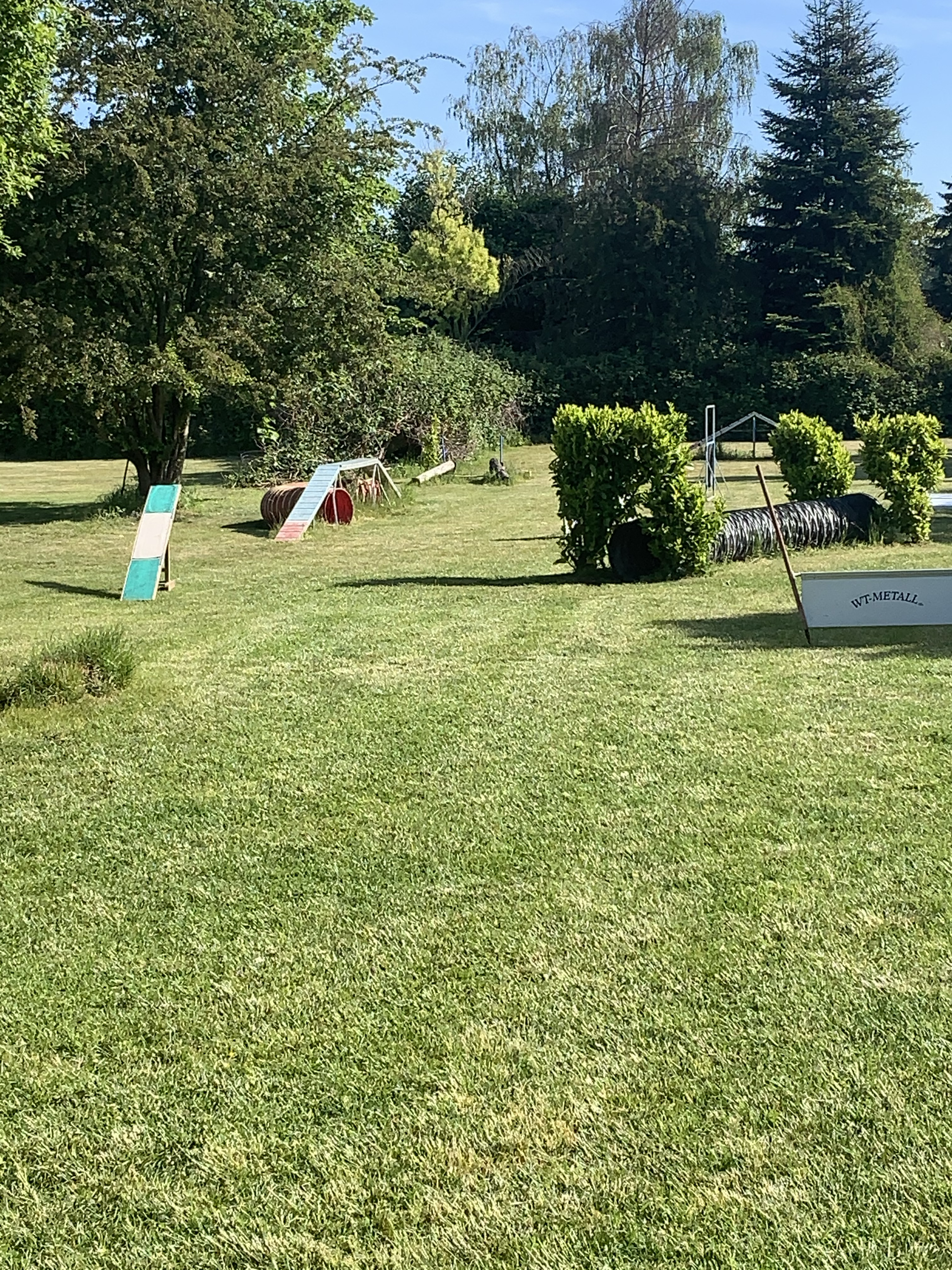 Trainingsplatz Hundeschule